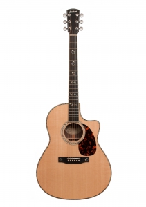 10 Rosewood Deluxe Series