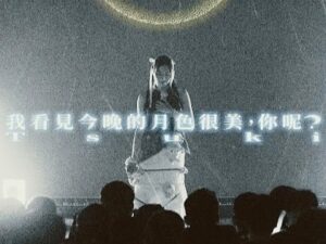 晚安莉莉 – 我看見今晚的月色很美你呢