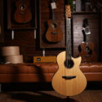 Chickadee Guitar Hattori: Grand OMC｜Bearclaw Italian Spruce｜Claro Walnut