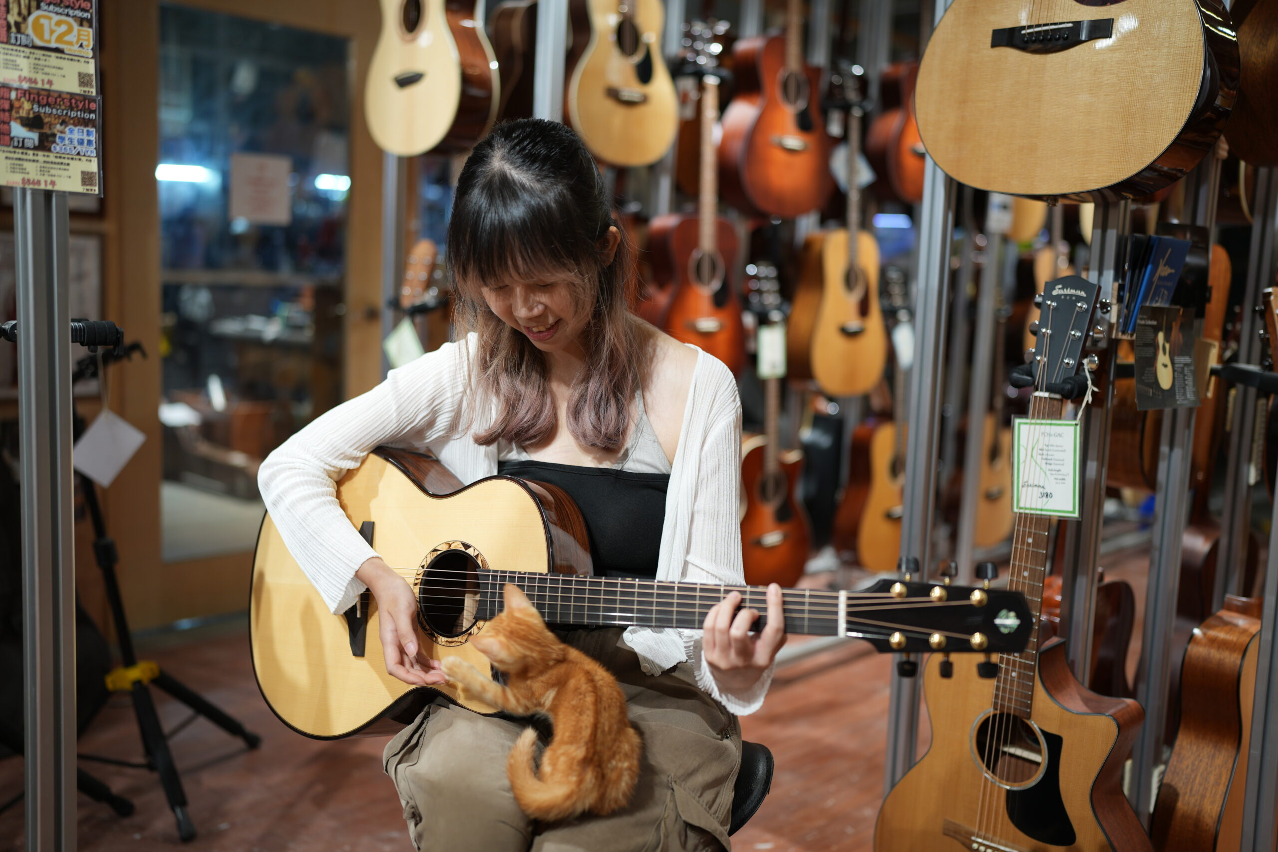 Nicky, cat and Hiramitsu guitar