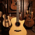 Hozen Guitars Black Label MJ Adirondack with Santos Rosewood